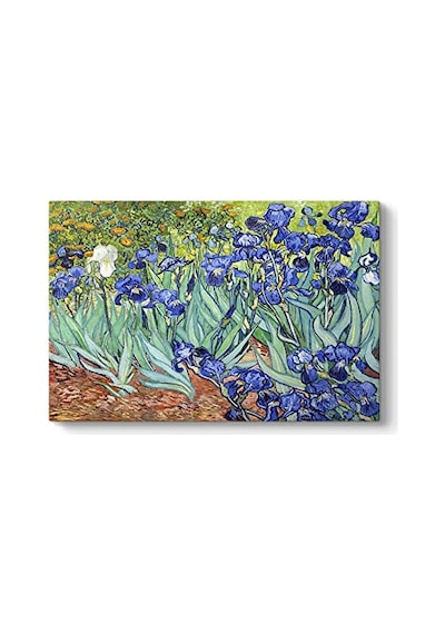 Tr - Iris Süsen Çiçeği Kanvas Tablosu 140 X 100