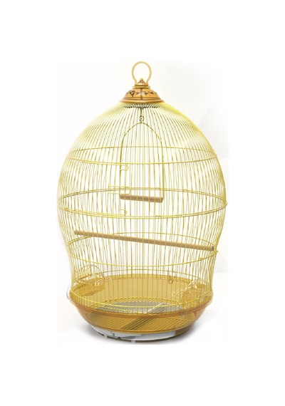 Dayang - 258 - Kubbe Kafes Pırınç 48,5x48,5x76cm X - Glblseme - 1 Adet