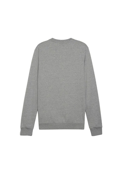 Puma Teamgoal Casuals Crew Neck Erkek Futbol Sweatshirts 65859233 Gri Pchs-2
