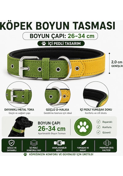 Pedli Köpek Boyun Tasması 26-34 Cm 2 Cm İçi Pedli Metal Tokalı - Yeşil Sarı Çok Renkli