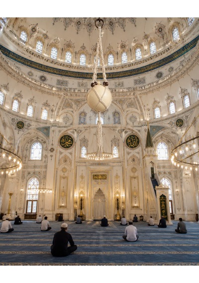 Doğal Haşere Kovucu Devekuşu Yumurtası - Beyaz Akrome Fileli