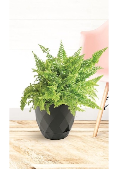 Omnipazar Krs-451 Yakamoz Tabaklı Plastik Saksı Takımı 0.65 Litre No 1 Antrasit 116