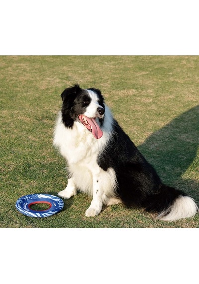 M-pets Sprintpuff Frizbi Köpek Oyuncağı 24 Cm Mavi