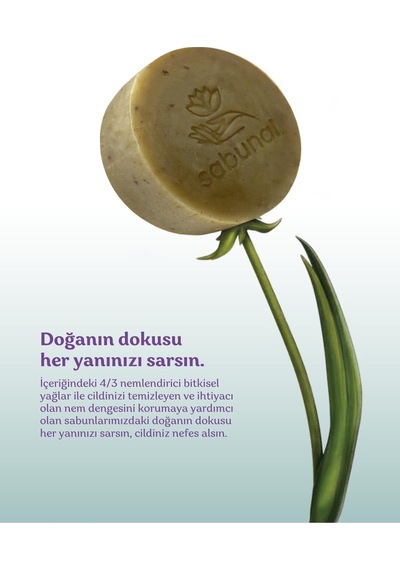 Bıttım Sabunu - Cilt Sorunlarına Yönelik, Yoğun Doğal Saç Ve Cilt Bakım Sabunu 100 Gr