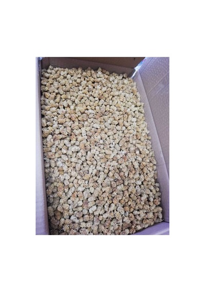 Kuru Dut 500 Gr Diğer