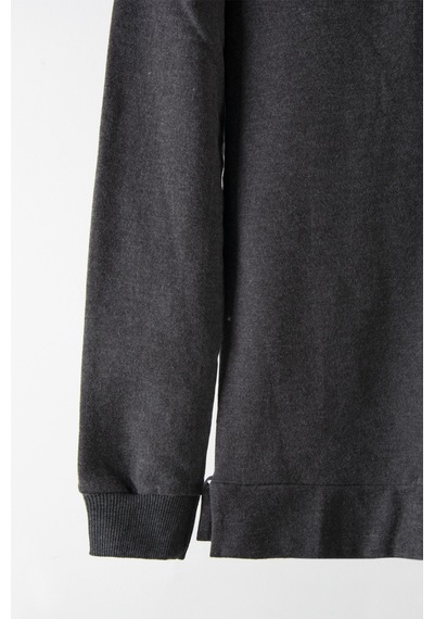 Terapi Men Erkek Antrasit Bisiklet Yaka Basic Düz Sweatshirt Antrasit