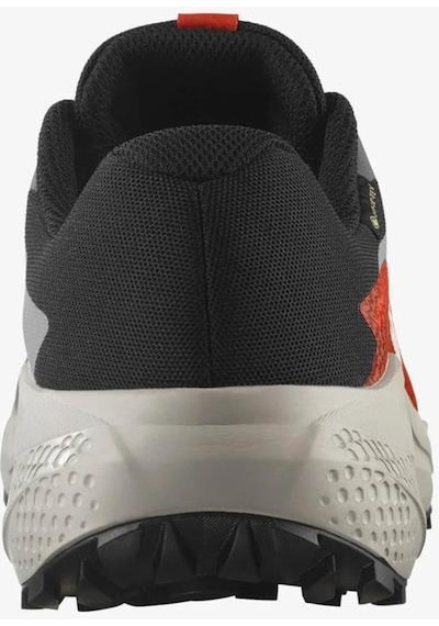 Salomon Alphaglıde Gore-tex Casrlerock Lunar Rock Erkek Koşu/spor Ayakkabısı Gri