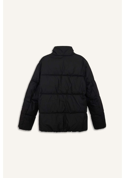 Defacto Slim Fit Dik Yaka Astarlı Fermuarlı Su Geçirmez Siyah Erkek Mont C5631ax/bk27 Siyah
