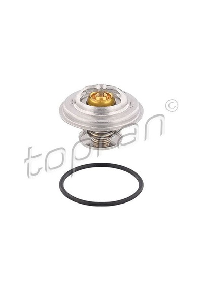 Topran Termostat Demir Bmw M Tpr-500546001