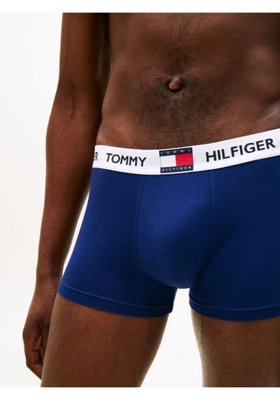 Tommy Hilfiger 3p Trunk Erkek Sarı Boxer - Um0um03835