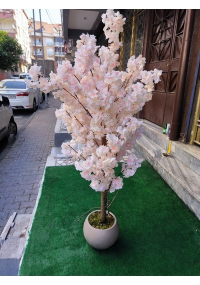 Rüzgar Yapay Çiçekçilik 150 Cm Yükseklikte Bahar Dalı Ağacı Krem