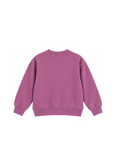 Luess Kız Çocuk Bisiklet Yaka Renkli Baskılı Sweatshirt Gül Kurusu