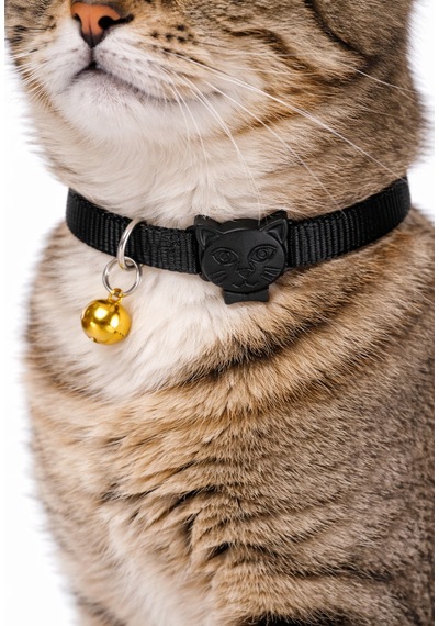 Urban Paws Kedi Tasması Noir Black Ayarlanabilir, Dayanıklı, Hafif-10mm