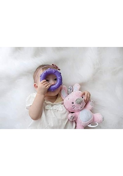 Playgro Çubuğa Geçen Halkalar Diş Kaşıyıcı Çıngırak Dişlik Playgro Çubuğa Geçen Halkalar Diş Kaşıyıcı Çıngırak Dişlik