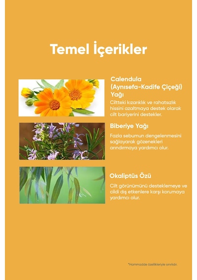 Aynısefa İçeren Gözenek Arındırıcı Makyaj Temizleme Yağı A'pıeu Calendula Cleansing Oil Pore Melting 98825722