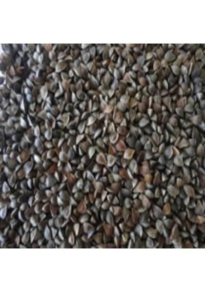 Buckwheat Bonie Horlama Yastığı Ortopedik Karabuğday Kabuğu ( Buc