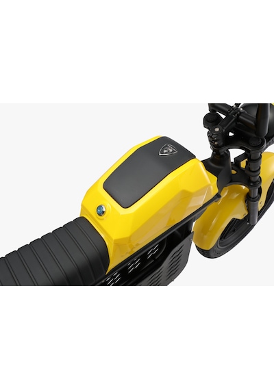 Ape Ryder Gibbon Ultra Pro 1000w Elektrikli Bisiklet Sarı Ayna ve El gazı Hediyeli