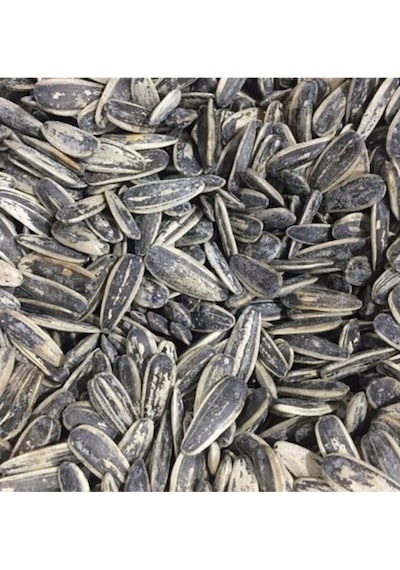 Ay Çekirdeği Tuzlu XL 250 G