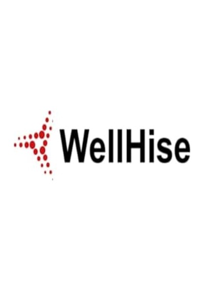 Wellhise St-11 Antistatik Tweezers Cımbız