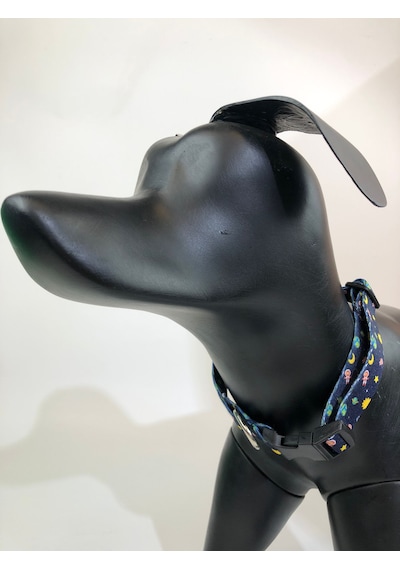 Mita Ayarlanabilir Köpek Boyun Tasması Space