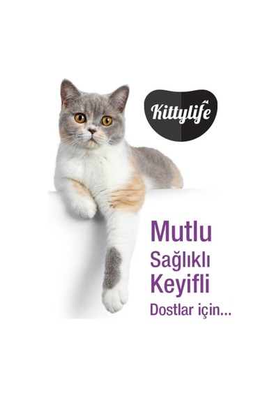 Kitty Life Süper Premum Kısırlaştırılmış Somonlu Yetişkin Kedi Maması 2 KG