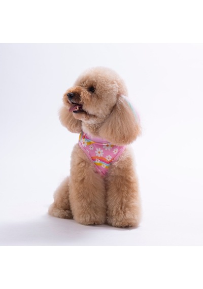 Daisy Tişört Kedi Köpek Tişörtü-kedi Köpek Kıyafeti