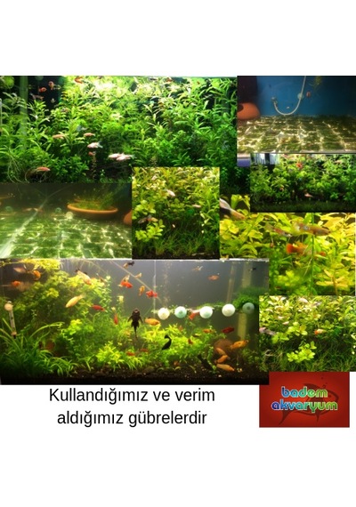 Akvaryum Sıvı Bitki Gübresi 1 Adet 250 Ml Potasyum
