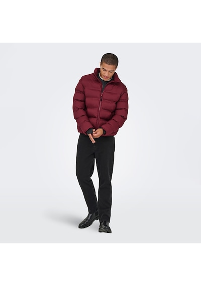 Only & Sons Union Seamless Life Erkek Bordo Mont 22034834-cab Bordo