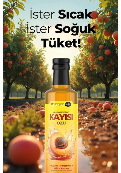 Collagen Life Kayısı Özü 640 Gr