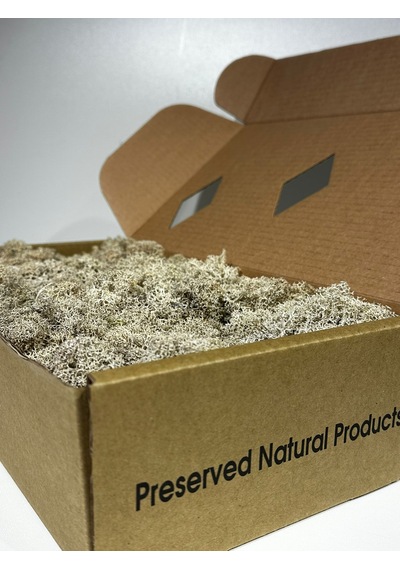 Reindermoss Şoklanmış Norveç Yosunu Terarium Yosunu Natural Green 500 Gr.