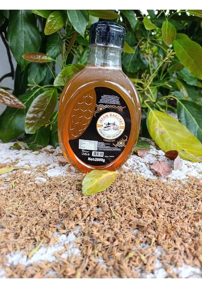 Lavanta Balı 2 Kg