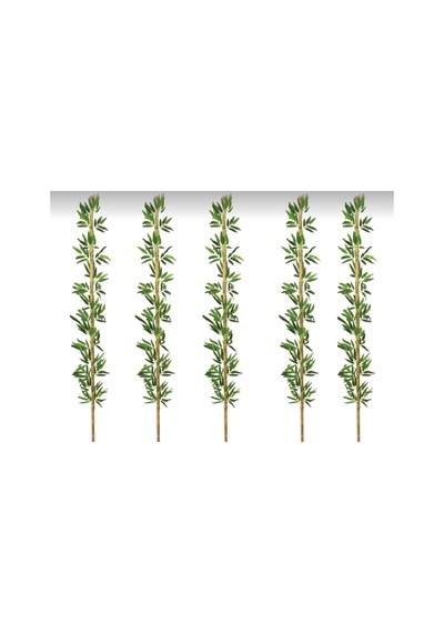 Rüzgar Yapay Çiçekçilik 190 Cm 5 Adet Bambu Yeşil