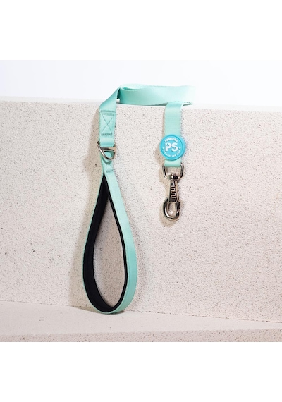 Pawstar Mint Leash Kedi Köpek Sevk & Gezdirme Kayışı Köpek Uzatma Tasması Mint