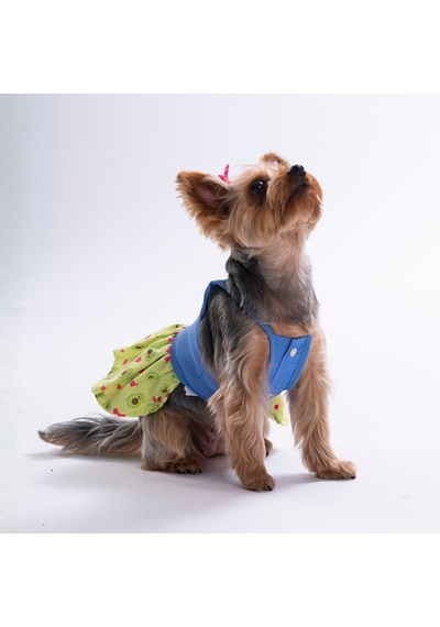 Avo Bliss Denim Avokado Desenli Kot Kedi Köpek Elbisesi - Kedi Köpek Kıyafeti