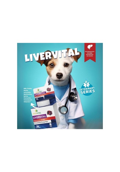Livervital Kedi Ve Köpekler İçin Karaciğer Sağlığı Destekliyici Tablet