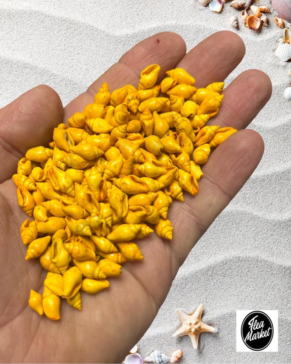 Gerçek Deniz Kabuğu - Nassa Shell - 100 Adet - Orange