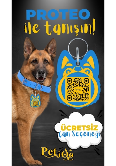 Petjoo 24.Proteo Sarı-Mavi Qr'lı Köpek Künyesi