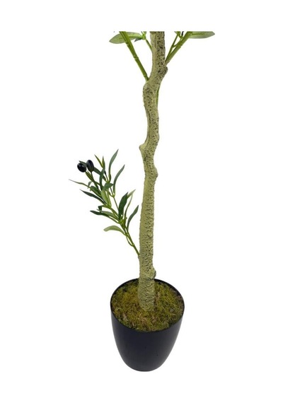 Yapay Zeytin Ağacı Lüks 170cm Doğal Gövdeli Gerçek Görünümlü Yapay Ağaç 1391 Siyah