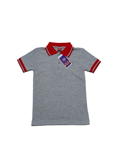 Kidsmadamiko Gri Polo Yaka Kısa Kol Unisex Çocuk Tişört