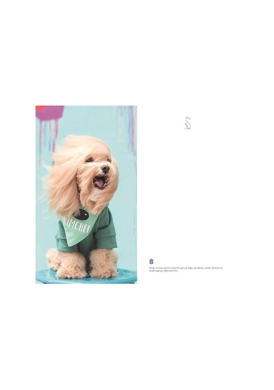 Köpek Dünyası Journal Düz