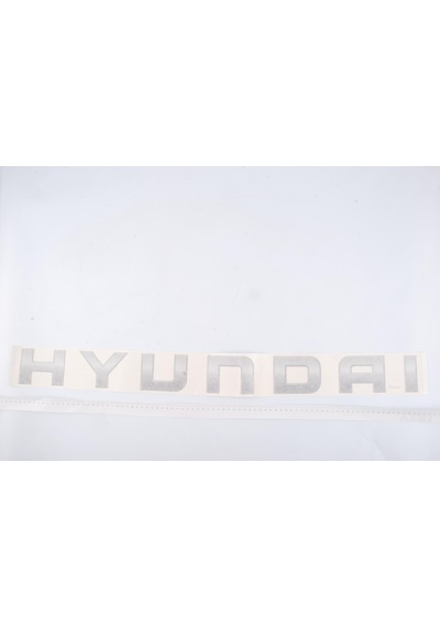 H100 Kamyonet 2004-2007 Kasa Kapak Hyundai Yazısı 863004f500