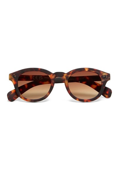Okkia Milano Unisex Güneş Gözlüğü Havana / Lens: Kahverengi Gradyan Kahverengi