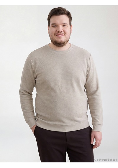 Lcwaıkıkı Classic Gri Bisiklet Yaka Erkek Sweatshirt