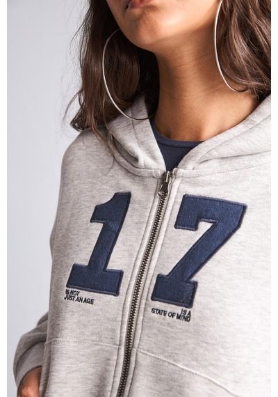 Defacto Fıtted Kapüşonlu Kalın Kumaş Fermuarlı İşlemeli Sweatshirt Hırka H4218ax26wngr110 Gri-gr110