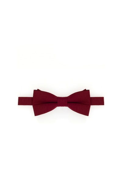 U.S. Polo Assn. Erkek Çocuk Bordo Pantolon Askısı 50313417-VR014