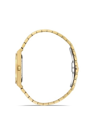 Ferro Quartz Çelik Altın Rengi Gümüş Kadran 32 Mm Kadın Kol Saati
