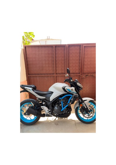 Yamaha Mt 25 İce Storm Koruma Demiri - 901308575