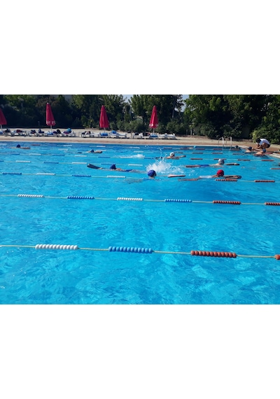 Havuz Kulvar Seperator Top İpi Ayraç Duba Dalgakıran Yüzme Havuzu Çok Renkli