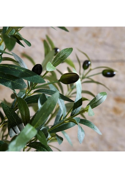 Yapay Zeytin Ağacı Lüx 180cm Doğal Gövdeli Gerçek Görünümlü Yapay Ağaç