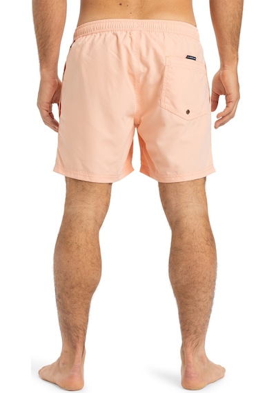 Quıksılver Quiksilver Spl Fineline 15 Erkek Volley Short Mef0 Çok Renkli